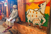 Man sits beside a colorful mural of cows.
